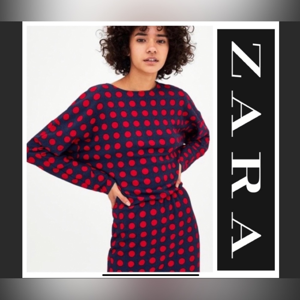 Adorable Zara Dress